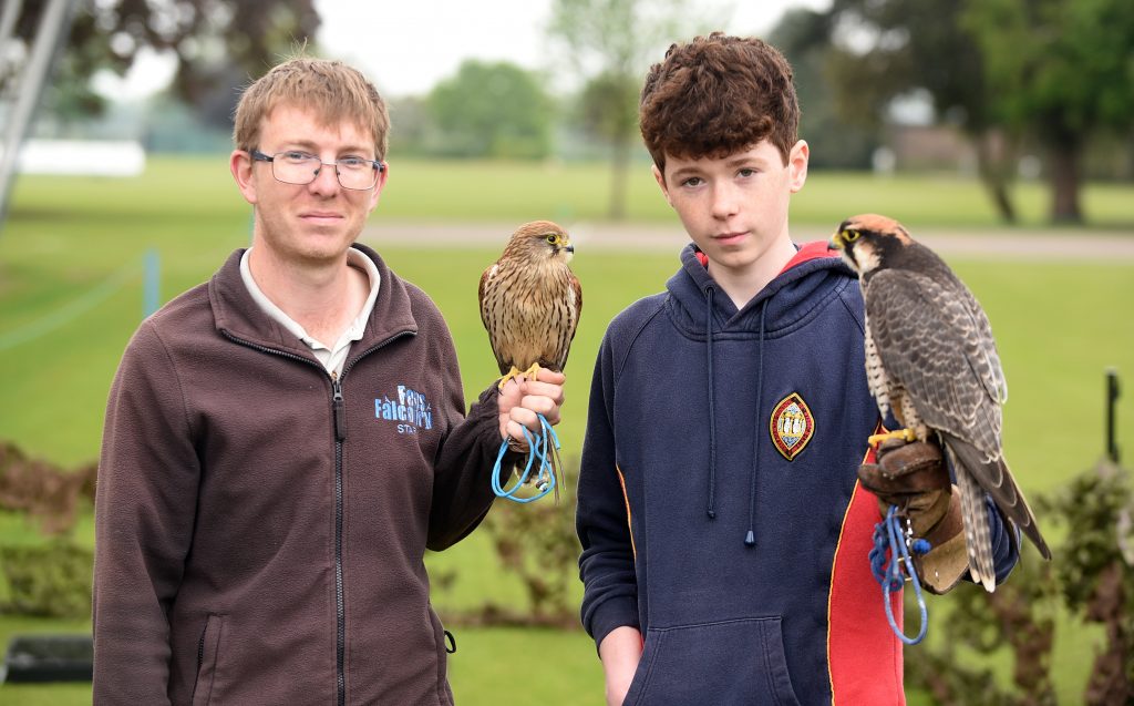 Birds of Prey demonstration at WGS | Wisbech Grammar School